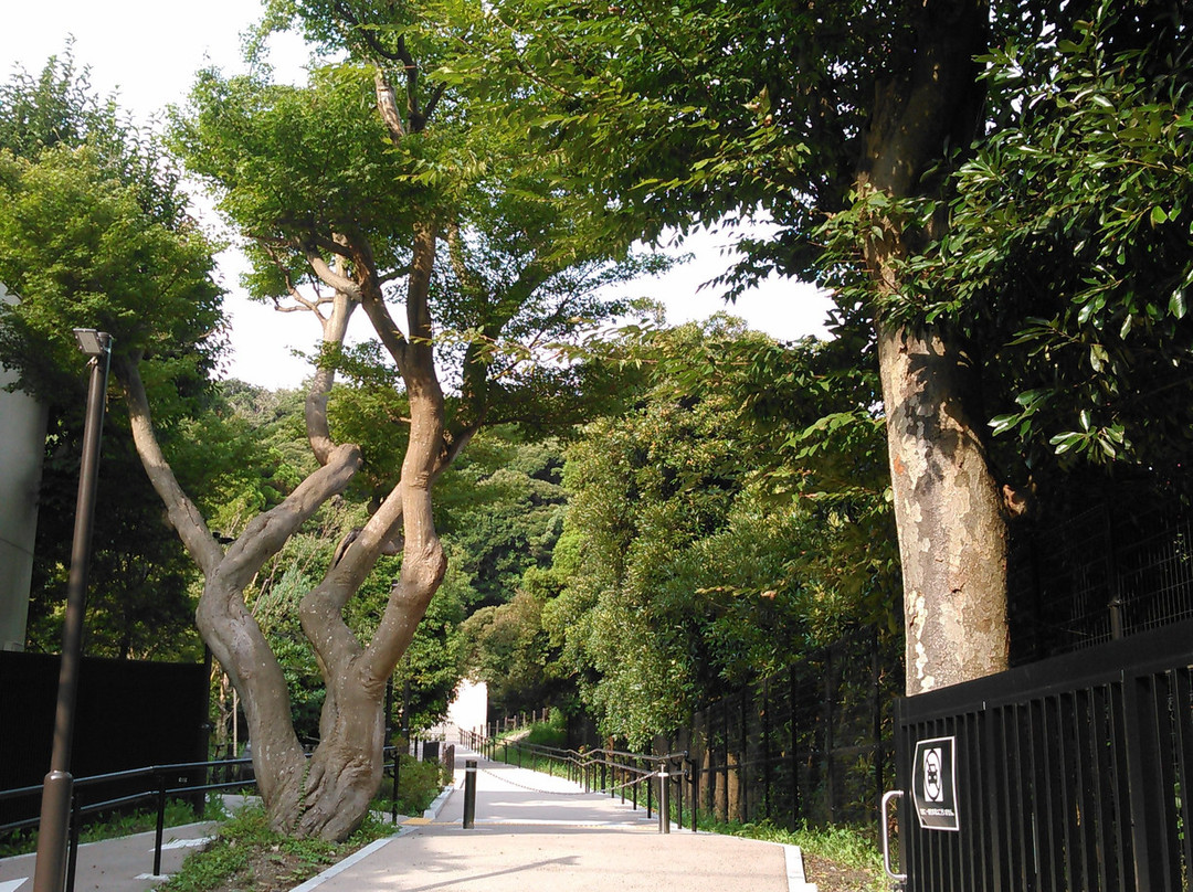 Kamakura Museum of History and Culture-镰仓市必去景点