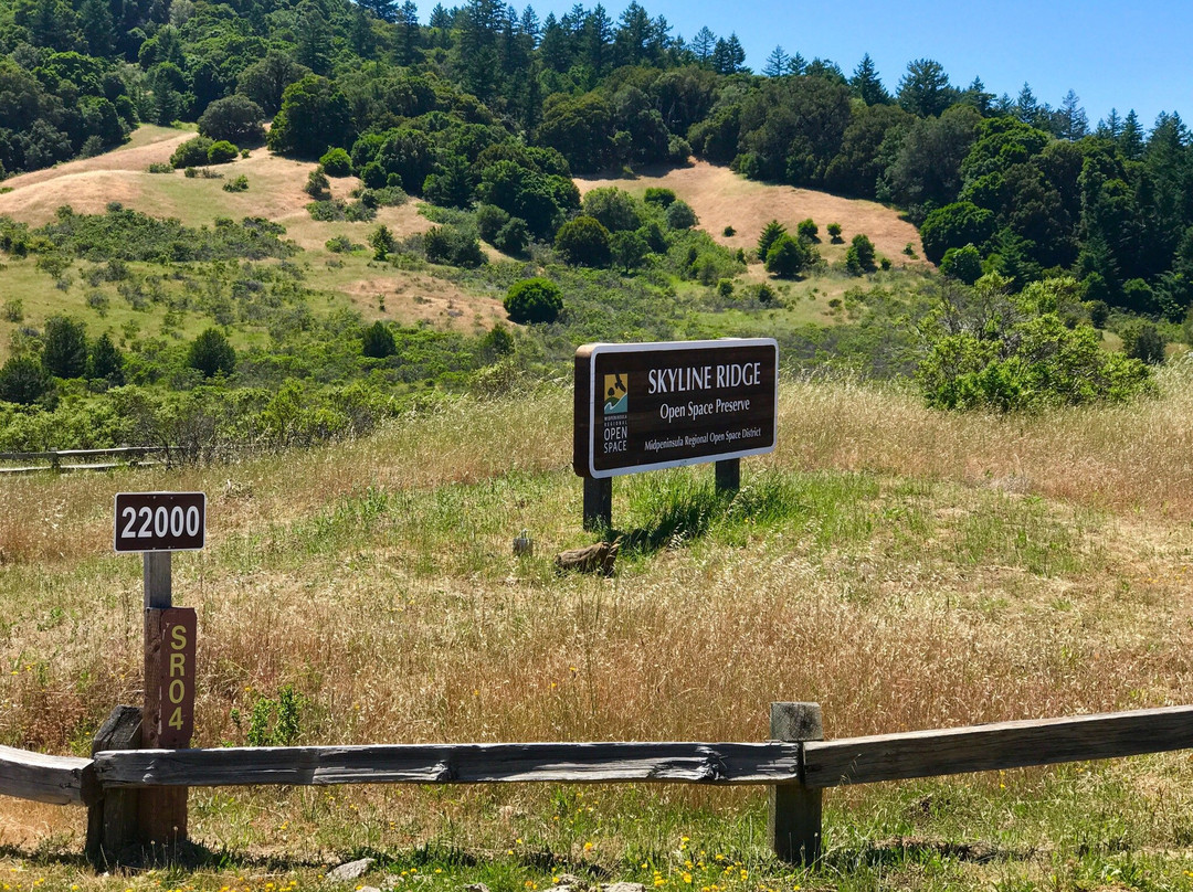 Horseshoe Lake-圣马特奥必去景点