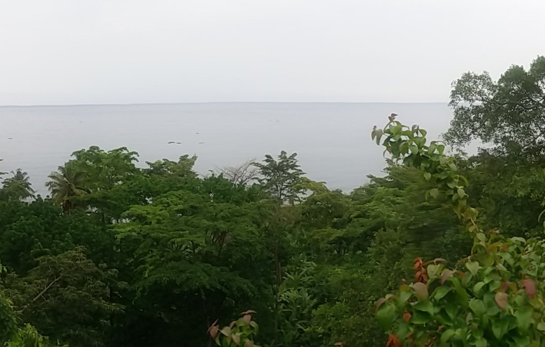 姆卡布里山林小屋