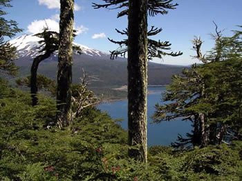Lago Tinquilco-Caburgua必去景点