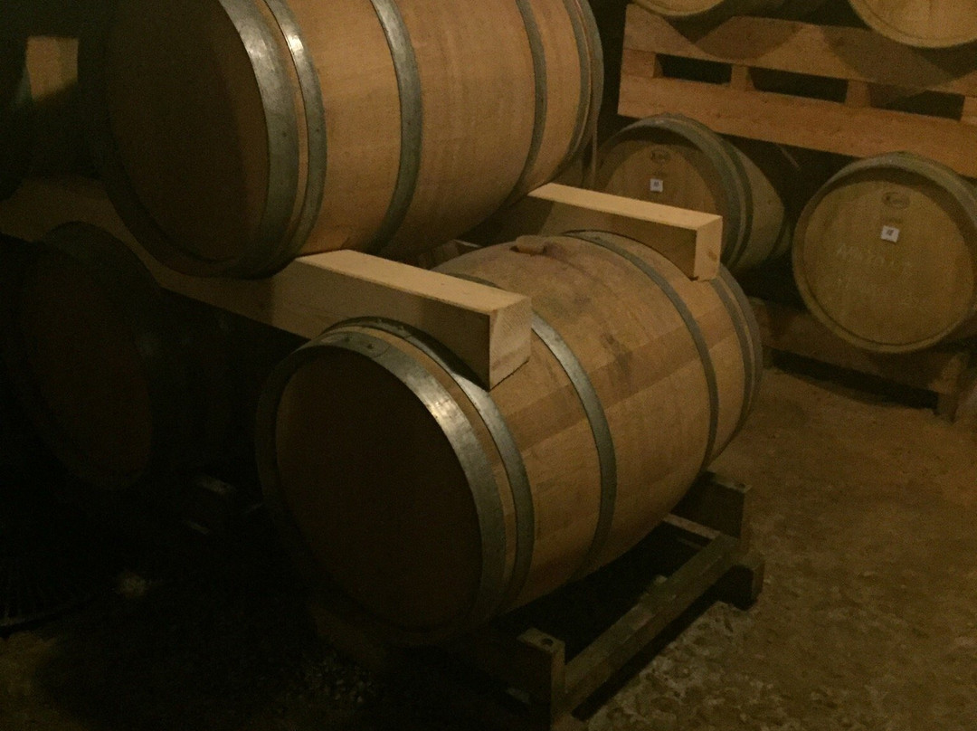 Museo del Vino景点图片