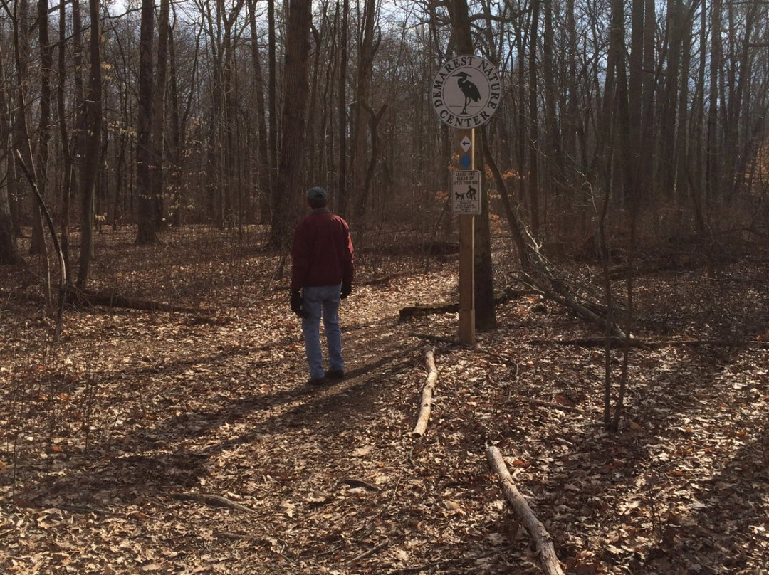 Demarest Nature Center景点图片