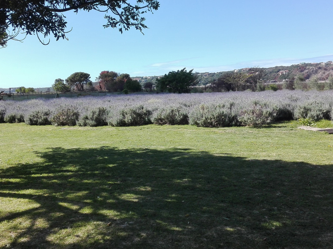 Serpentine Manor主图