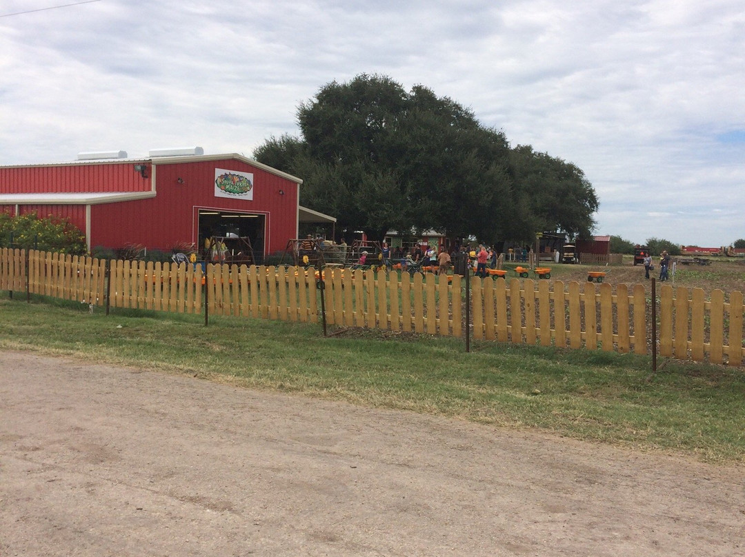 South Texas Maize-Hondo必去景点