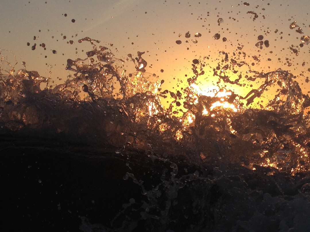 Aliwal Shoal Adventures-Umkomaas必去景点