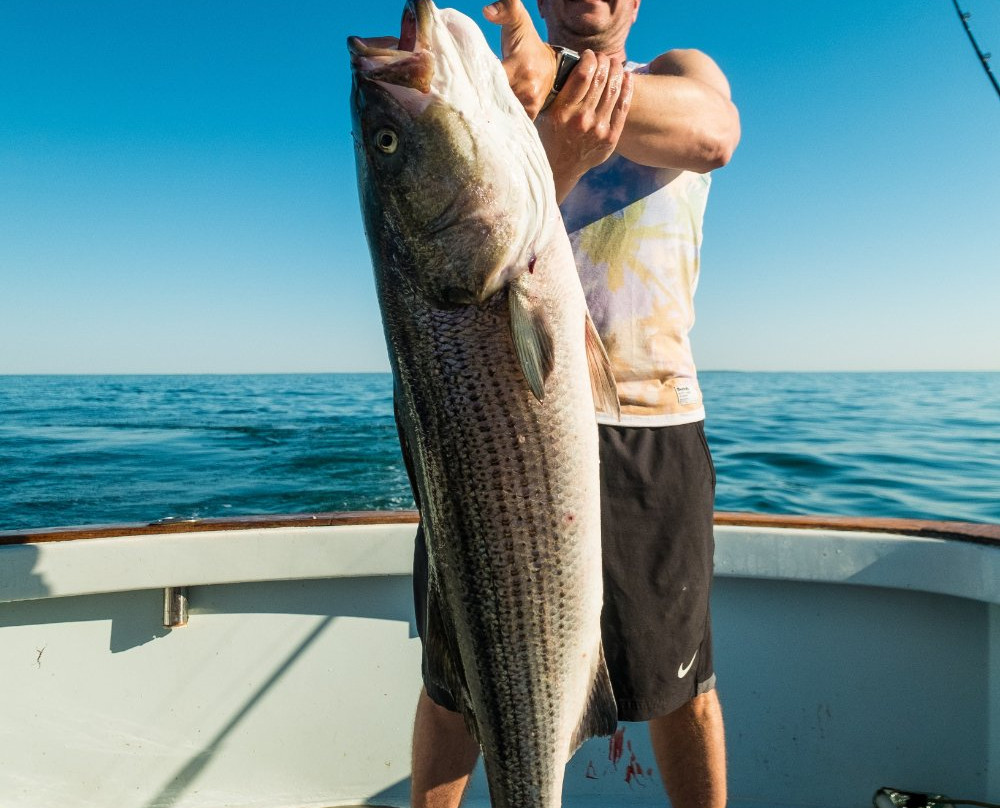 Petrel Charter Fishing-Waterford必去景点