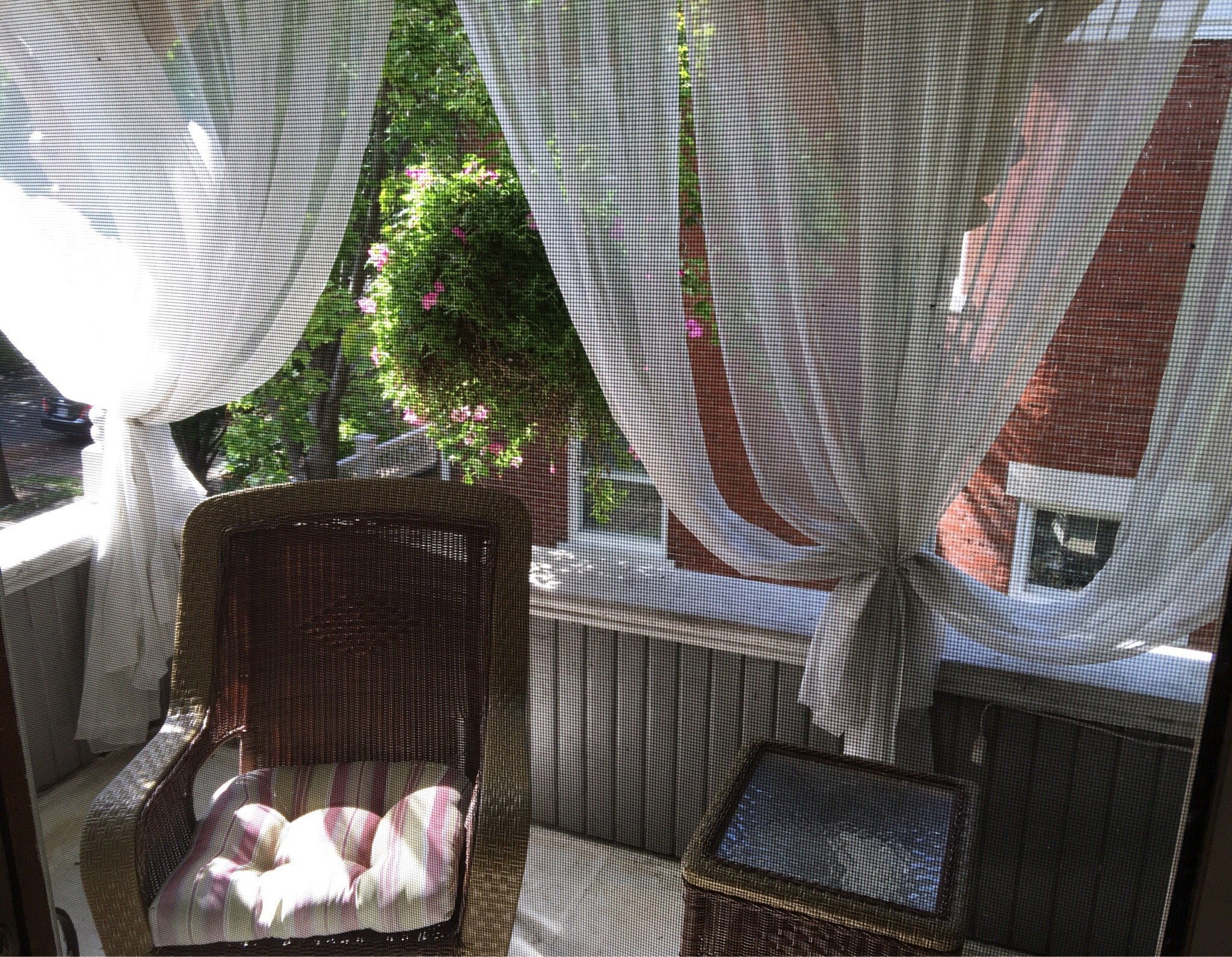 Garnet House Bed and Breakfast-浴室