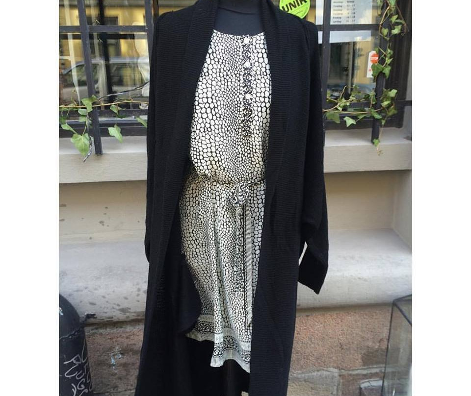 Pronto Connections-奥斯陆必去景点