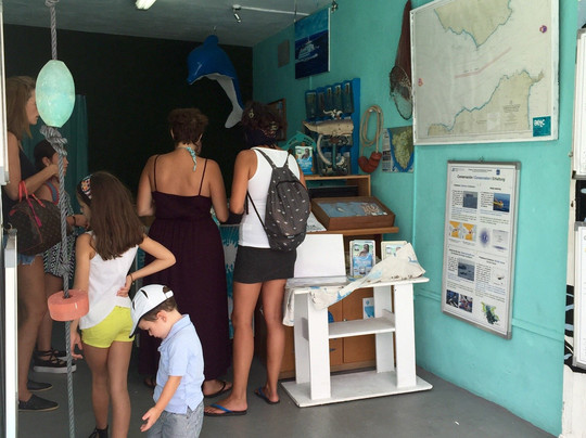 Whale Watch Tarifa-塔里法必去景点