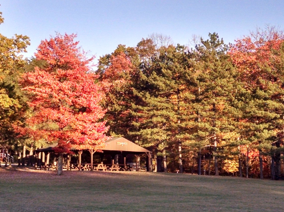 Chestnut Ridge Park and Campground景点图片