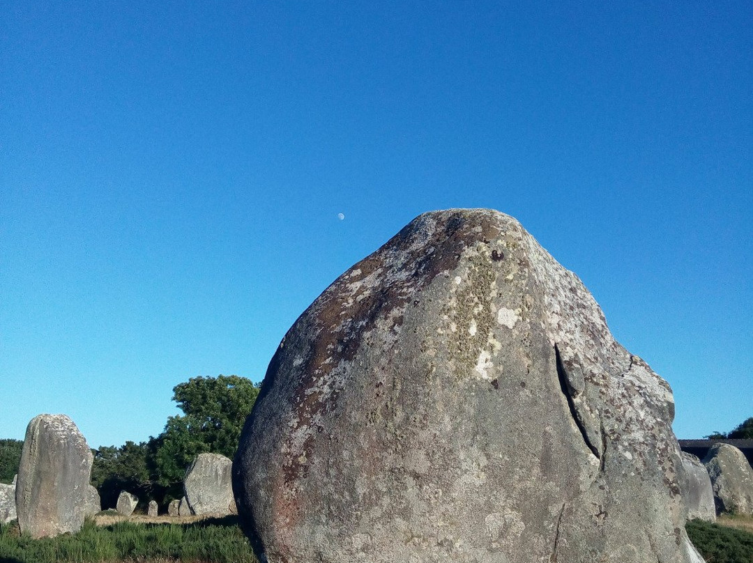 Centre Equestre Des Menhirs-卡纳克必去景点