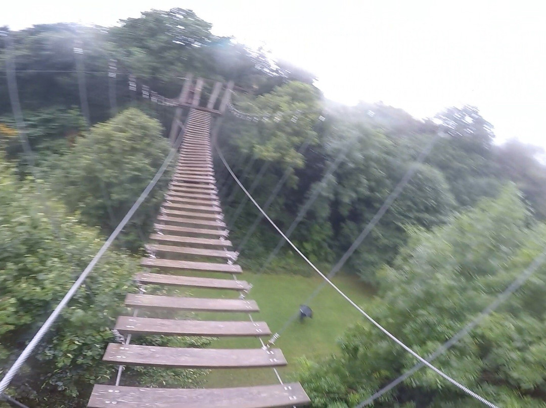 Aerial Extreme Bedale景点图片