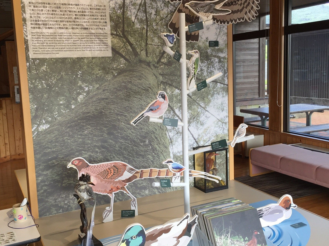 Ebino Eco Museum-虾野市必去景点