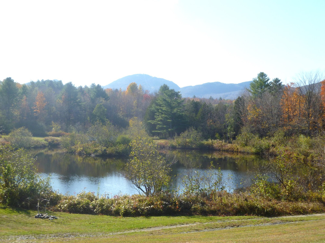 Orford Music-Orford必去景点