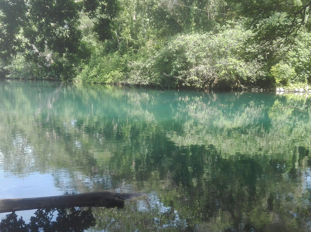 Cocodrilario Kiekari-San Blas必去景点