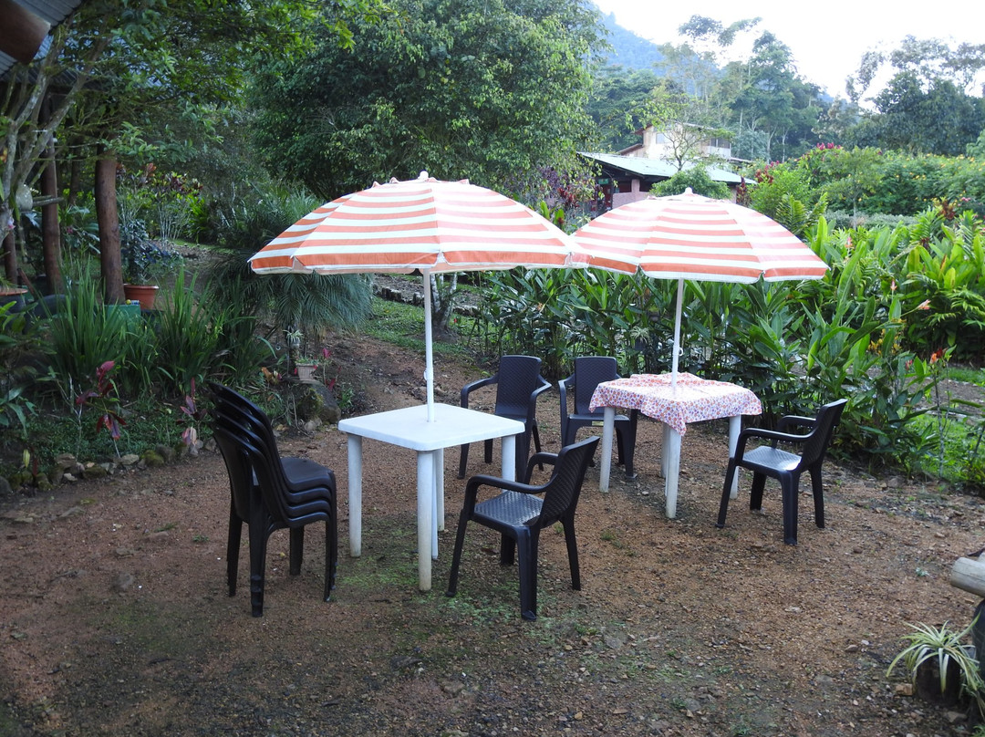 Mindo Pura Vida-明多必去景点