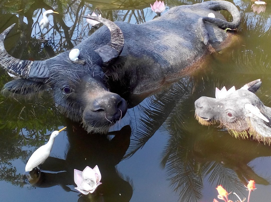 Hoi An Bike Tours + Day Tours-会安必去景点