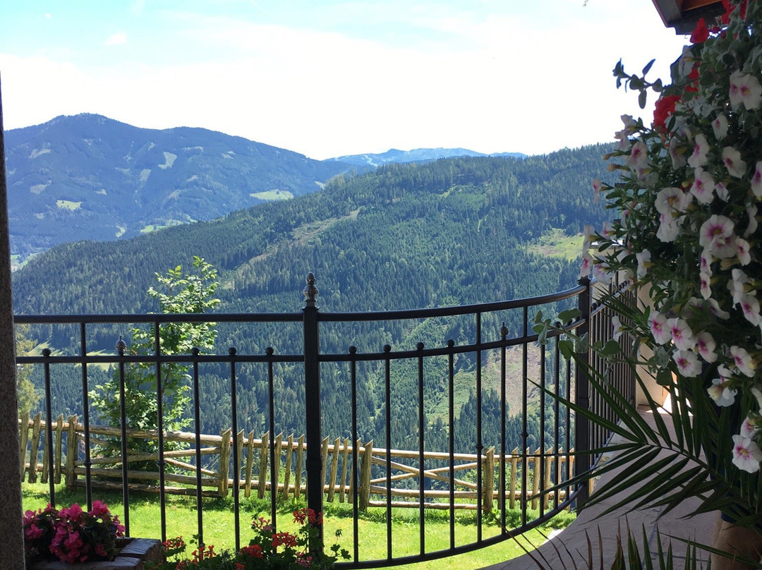 Bischofshofen酒店住宿-Alpen-Pension Rostatt