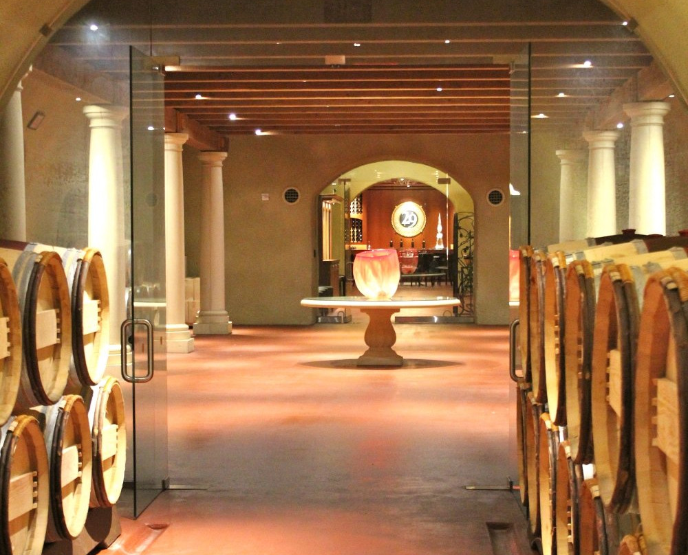 Vineyard 29景点图片