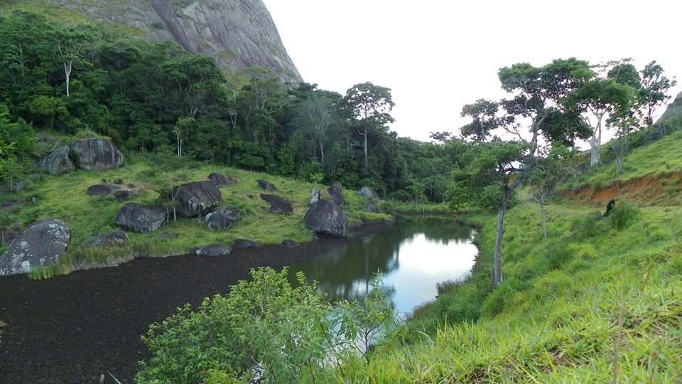 Área de Proteção Ambiental Pedra do Elefante-Nova Venecia必去景点