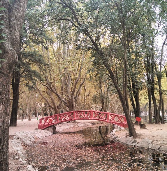 Parque Sarmiento景点图片