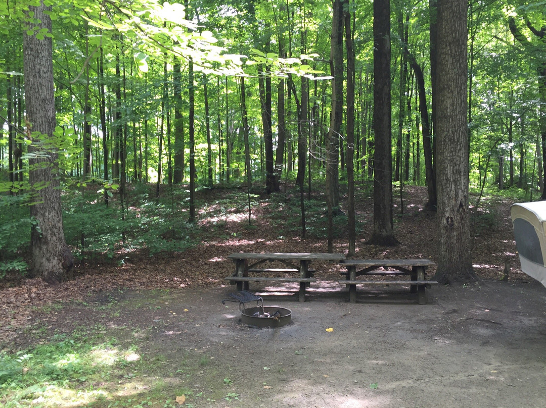 Mills Norrie State Park景点图片