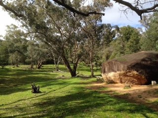 Blind Freddy's Bushranger Tours