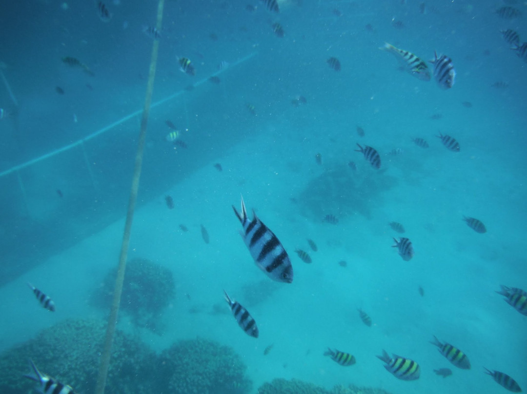 Piti Bomb Holes Preserve-Piti必去景点