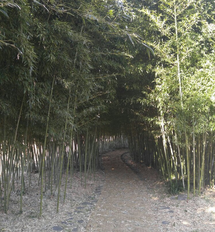Korea Bamboo Museum-潭阳郡必去景点