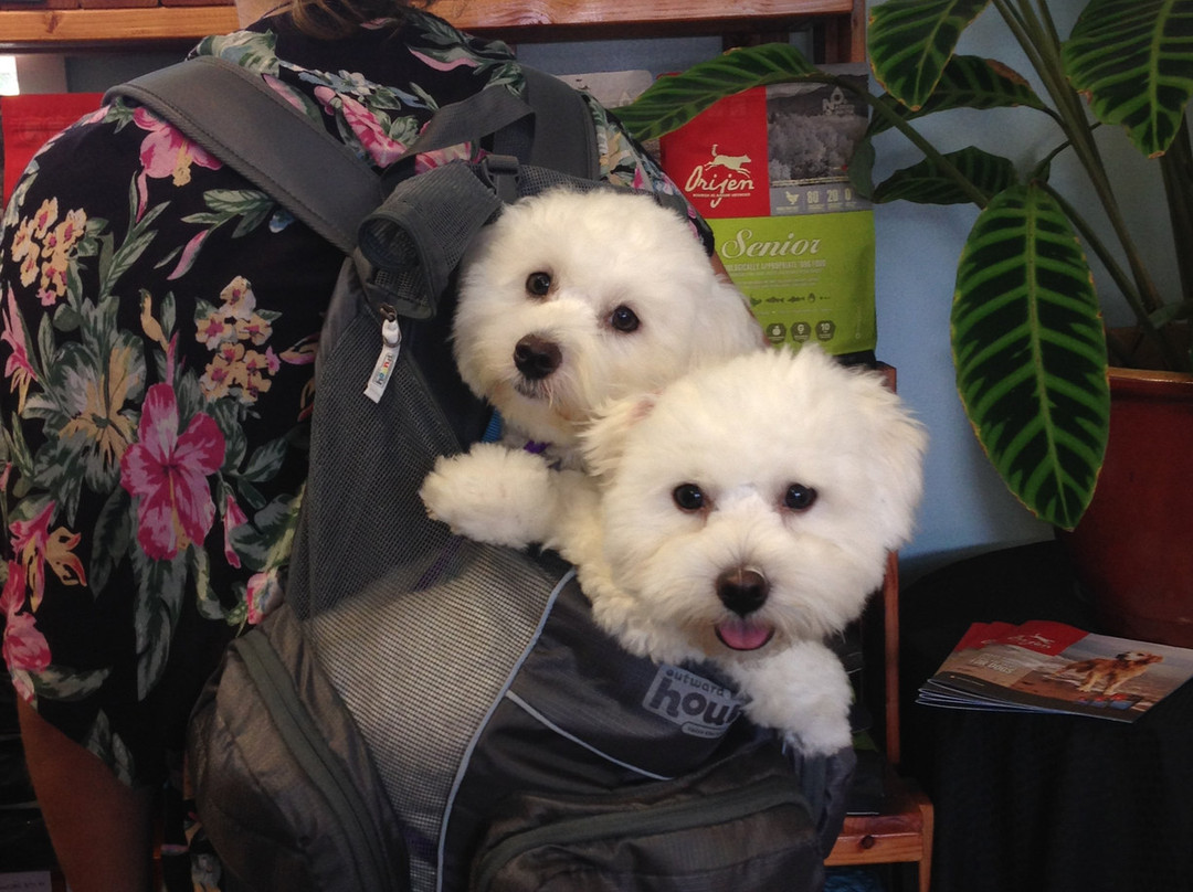 Aloha Pawz-希洛必去景点