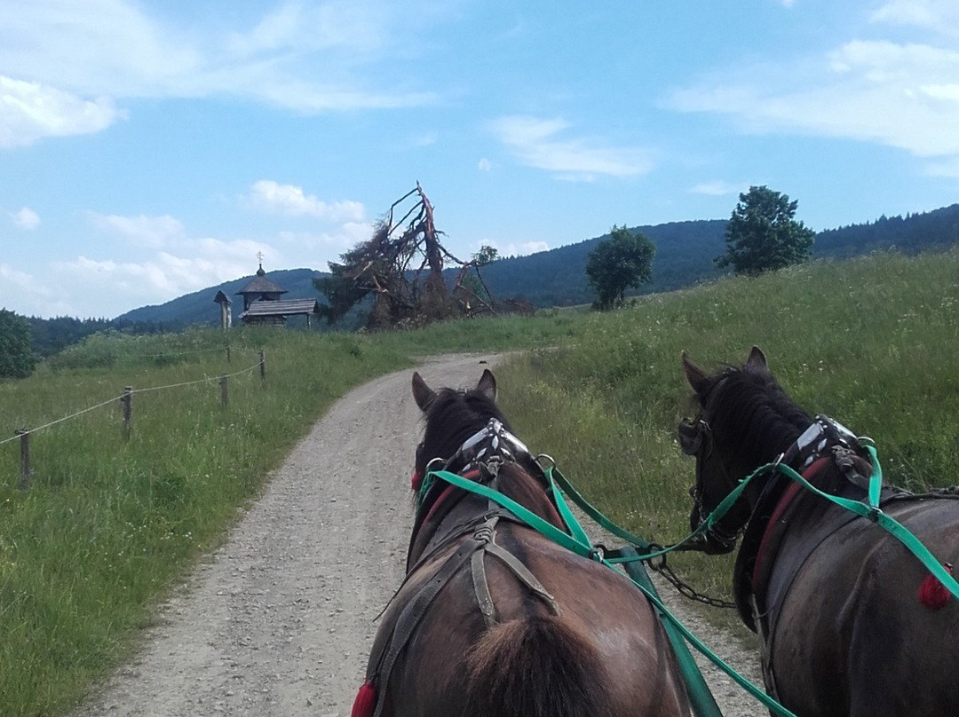 Hucul Pony Stables - Gładyszów景点图片