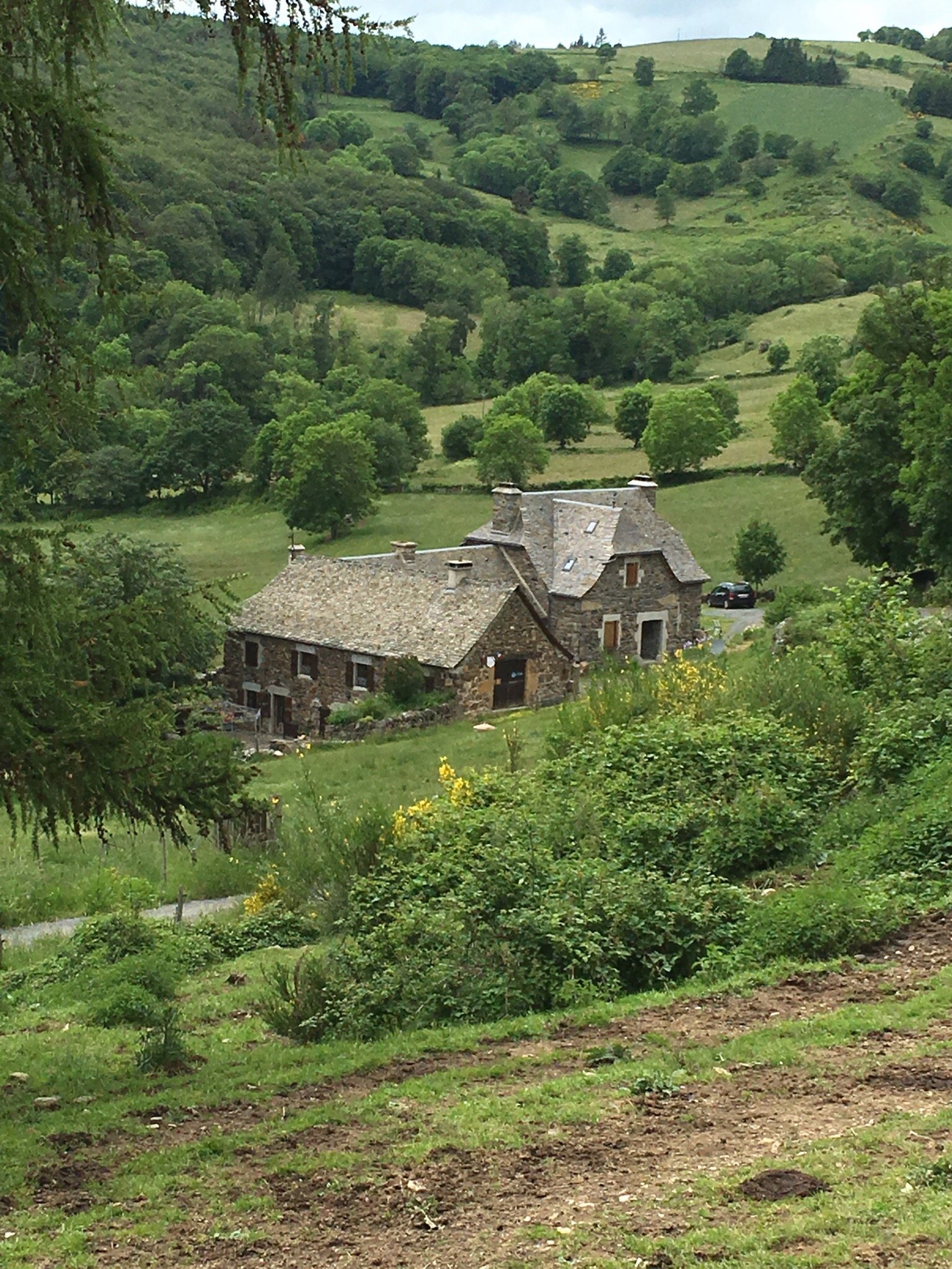 La Tarabelle-官方