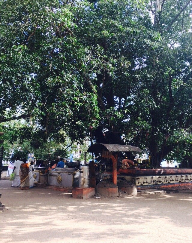 Oachira Parabrahma Temple景点图片