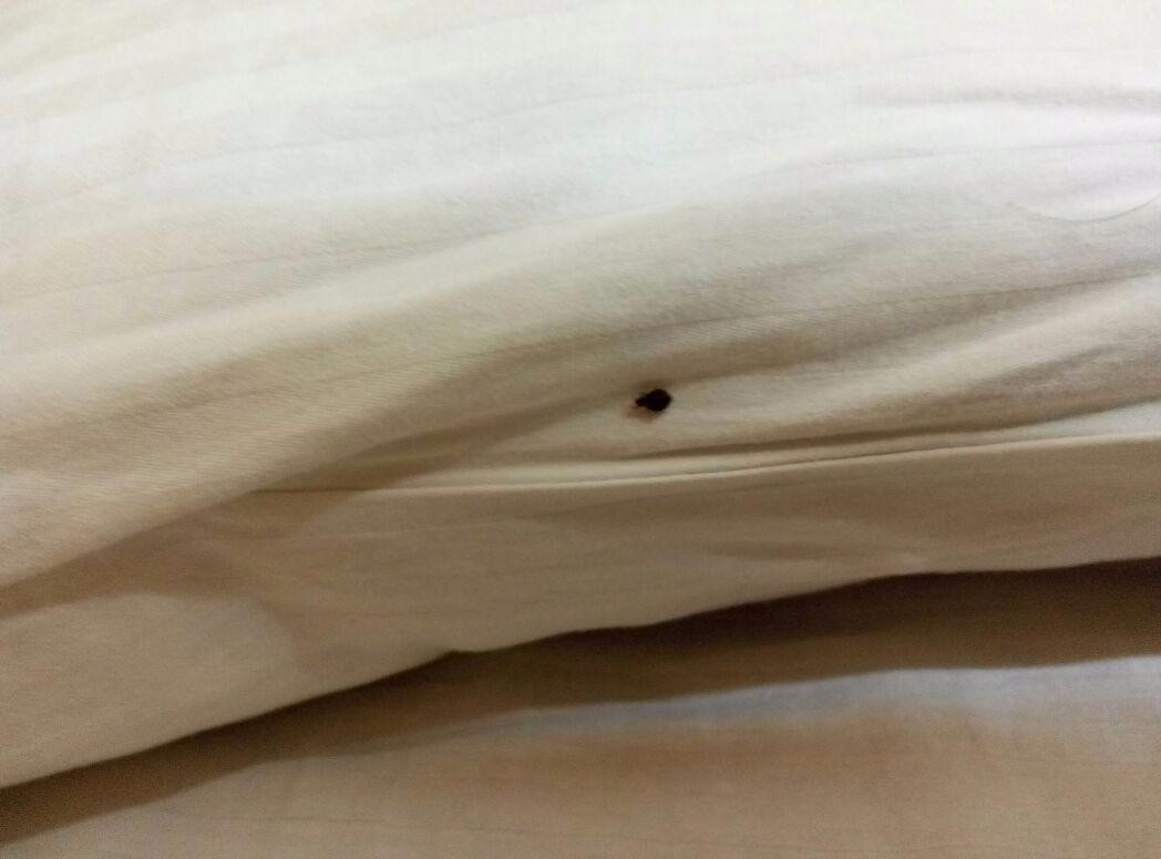 OYO 16585 Venkat Presidency主图