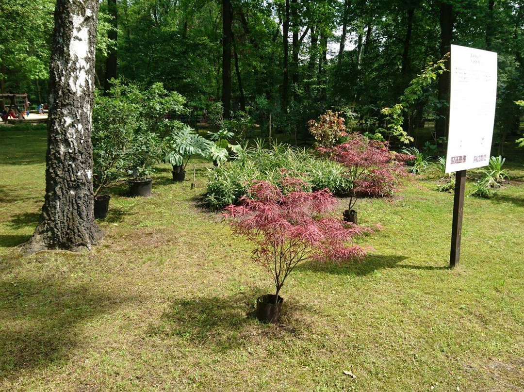 Botanisches Garten / Miejski Ogrod Botaniczny景点图片