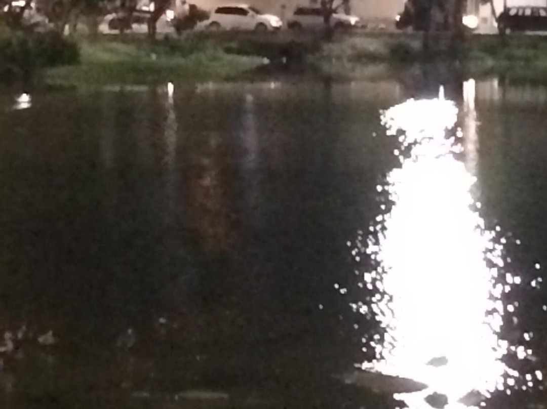 Lago Jacarey-福塔莱萨必去景点