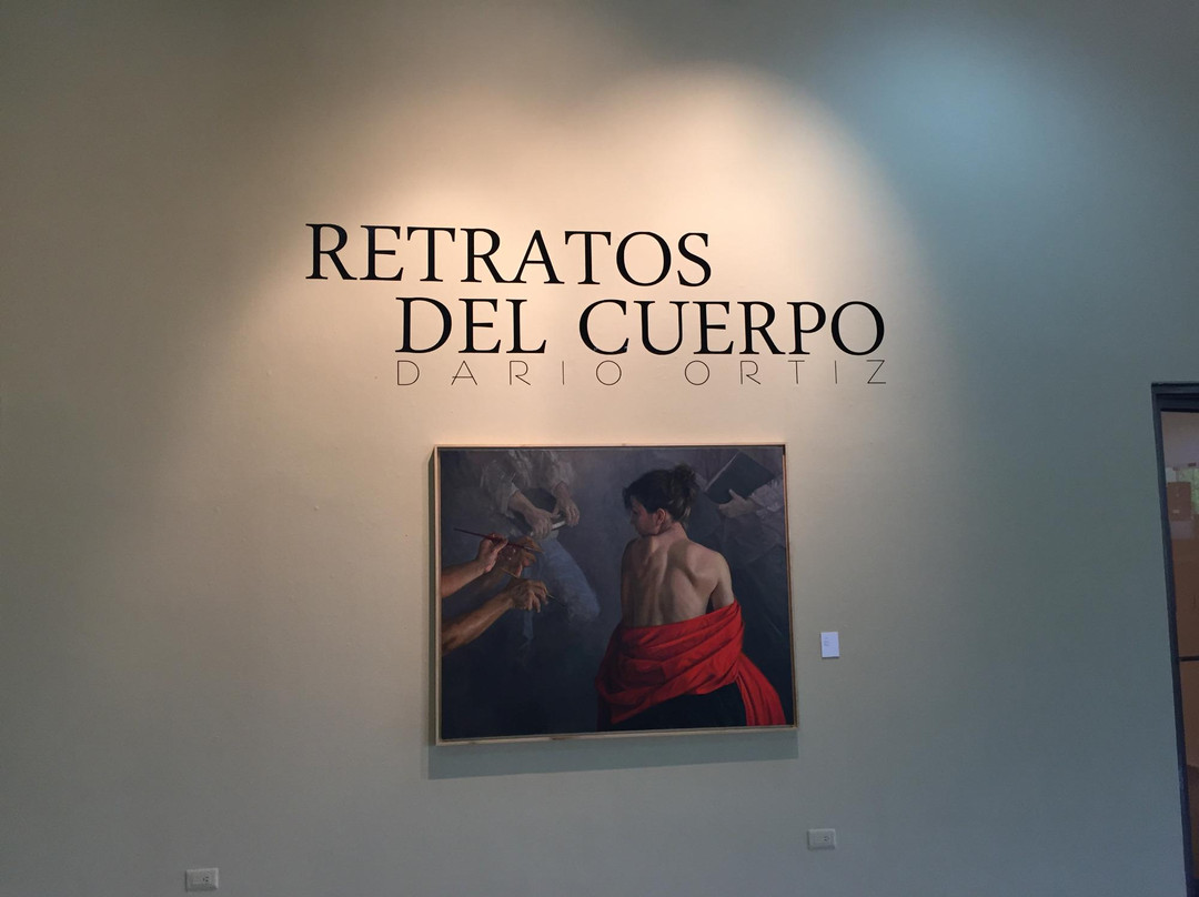 Modern Art Museum (Museo de Arte Moderno)景点图片