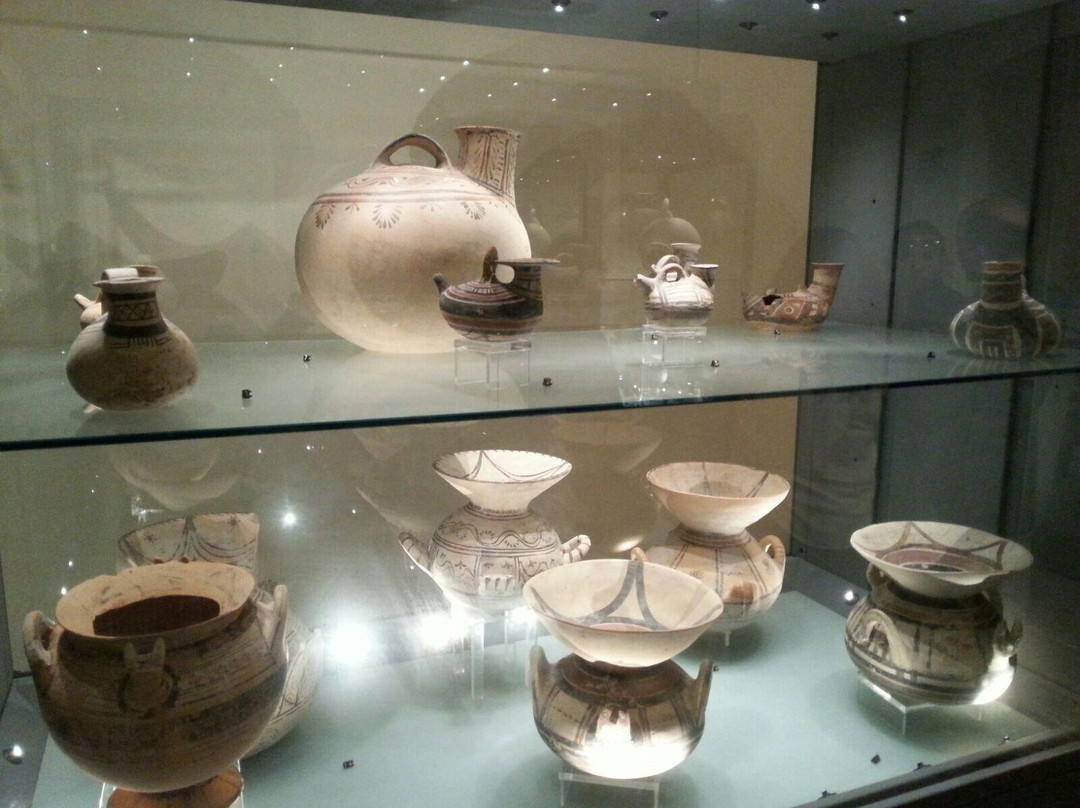 Museo Civico Archeologico di Palazzo Iliceto景点图片