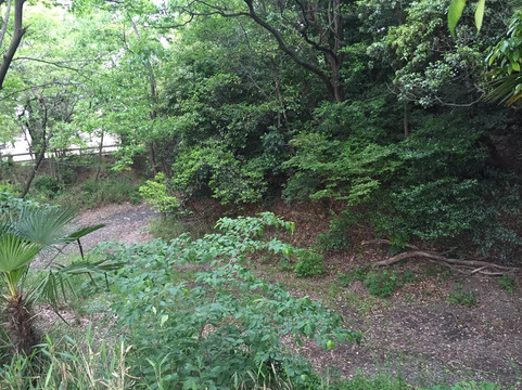 Futagoyama Tomb-春日井市必去景点