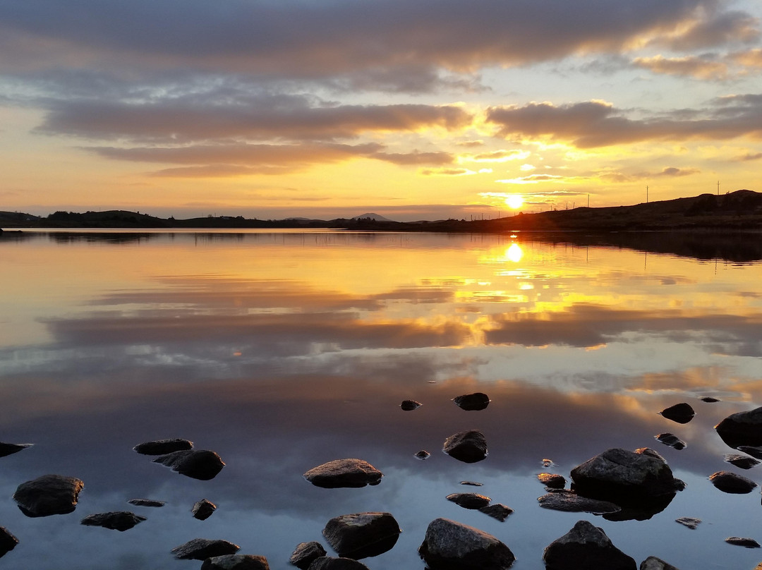 Clew Bay Sightseeing Tours景点图片