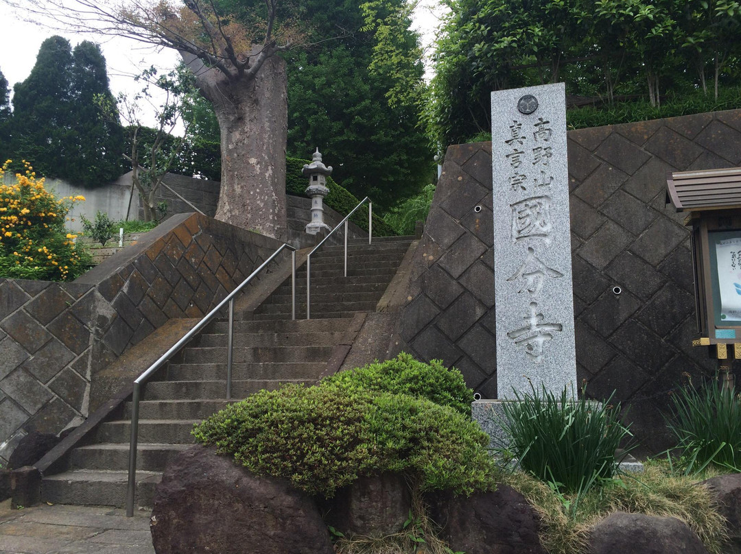 Sagami Kokubun-ji Temple景点图片