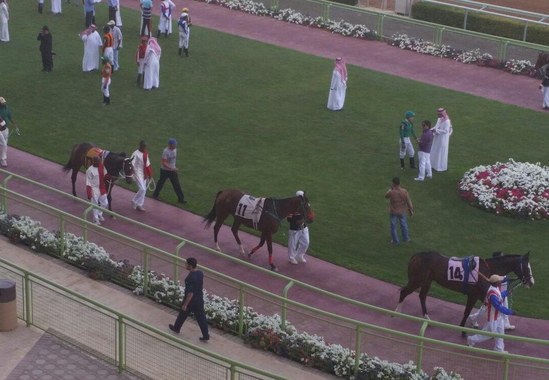 King Abdulaziz Equestrian Field-利雅德必去景点