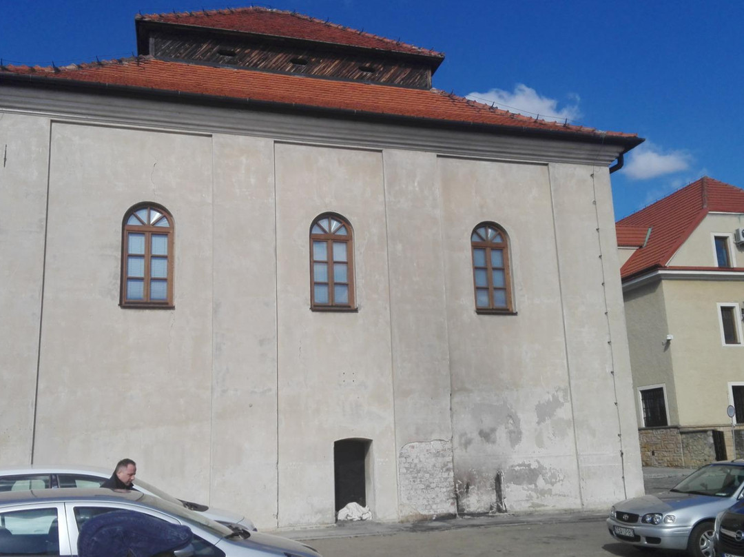 Sandomierz Synagogue景点图片