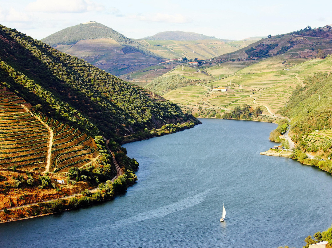 Douro à Vela景点图片