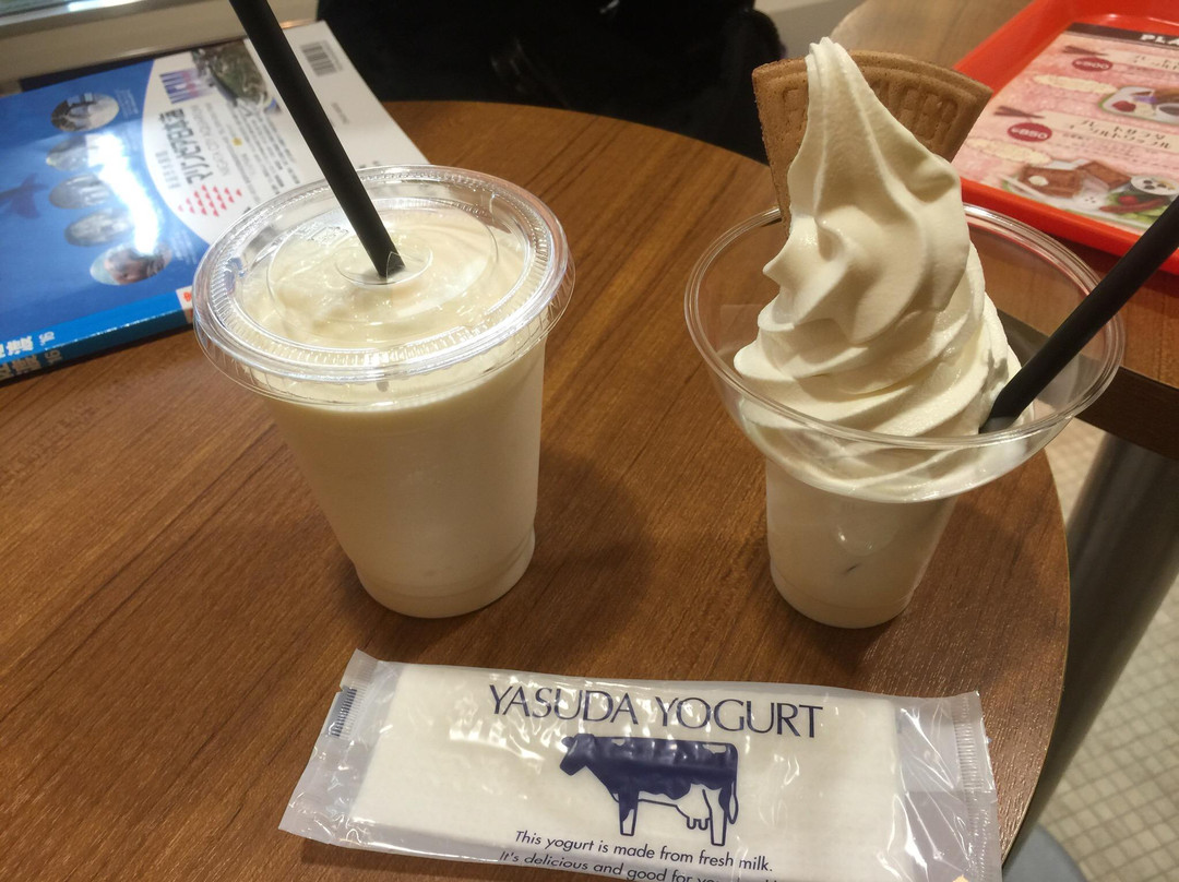 新泻市餐馆和美食-Yasuda Yogurt Shop Cocolo South Bldg