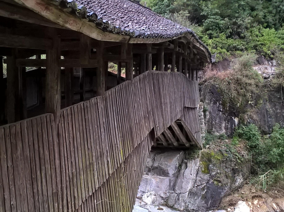 泰顺廊桥景点图片