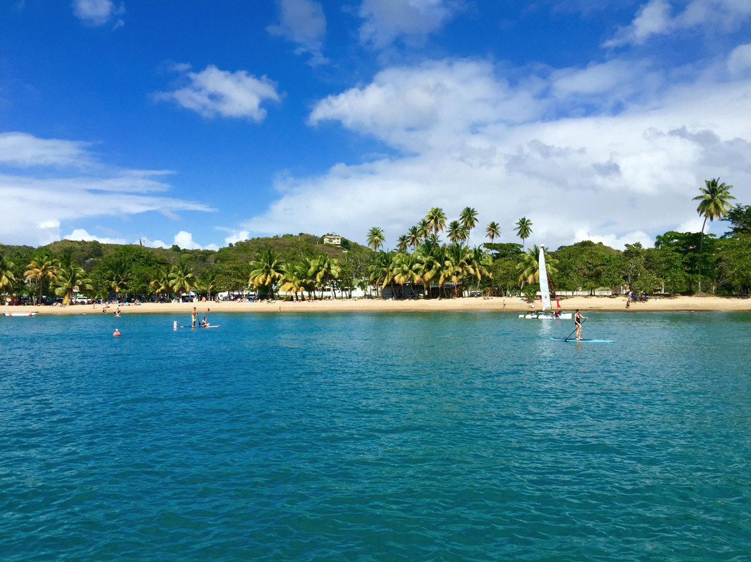 Rincon Marina-吕康必去景点