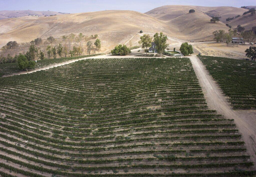 Lions Peak Vineyards-索尔万必去景点