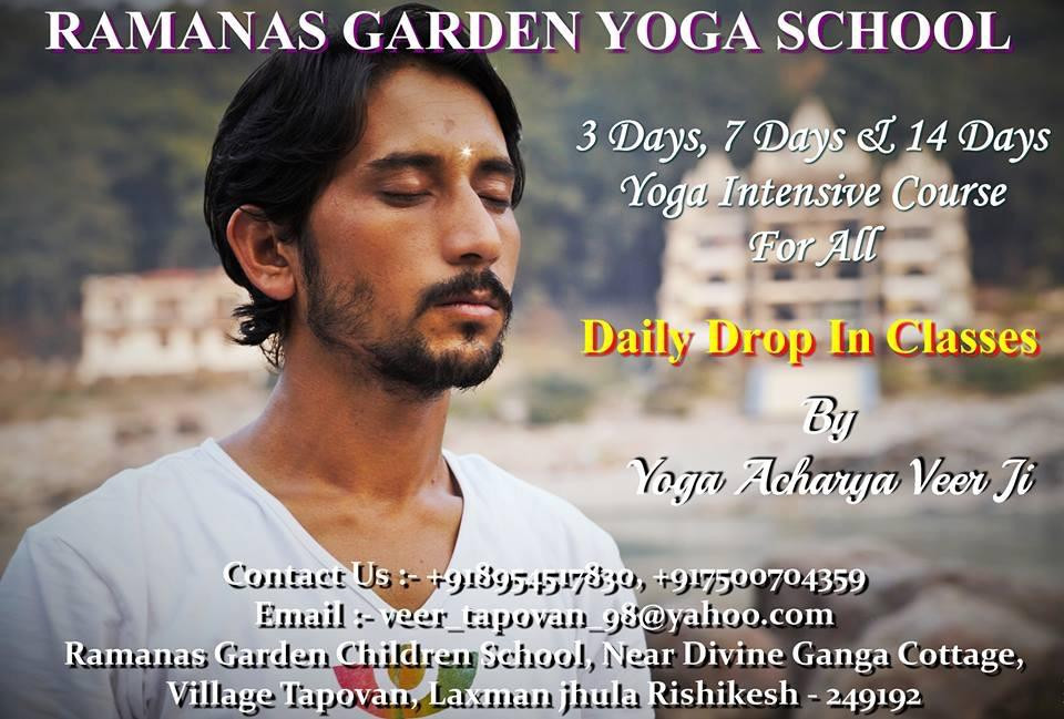Ramana's Garden Yoga School景点图片