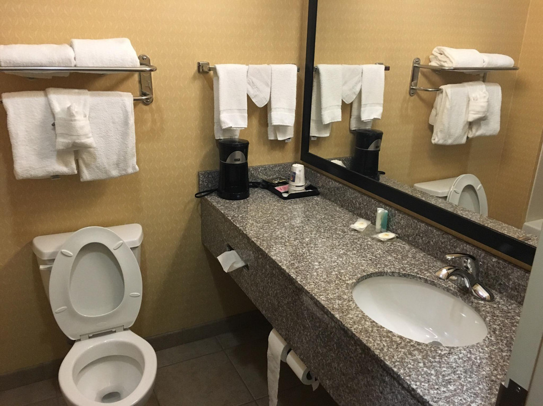 Comfort Inn Muscle Shoals主图